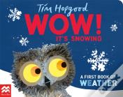 Wow! It'S Snowing