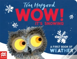 Capa do artigo Wow! It'S Snowing