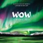 Wow - O Amor é Lindo - Preview