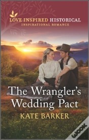 Capa do artigo Wrangler