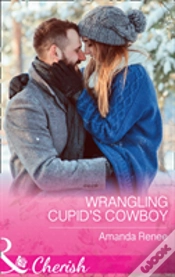 Capa do artigo Wrangling Cupid