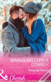 Capa do artigo Wrangling Cupid