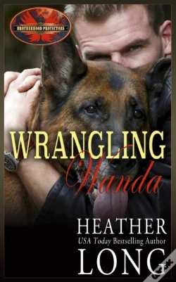 Capa do artigo Wrangling Wanda