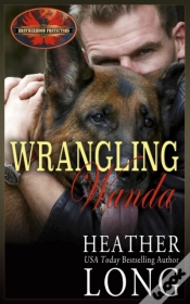 Capa do artigo Wrangling Wanda