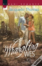 Capa do artigo Wrangling Wes
