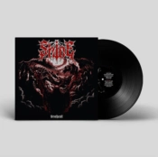 Capa do artigo Wrathcult - Vinil