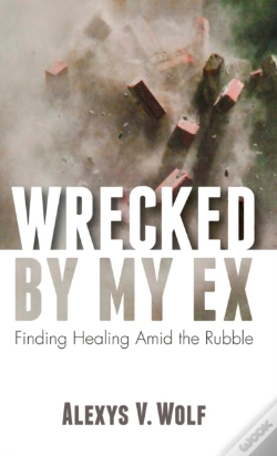 Capa do artigo Wrecked By My Ex