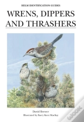 Wrens, Dippers And Thrashers