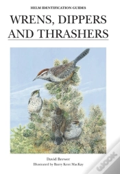 Capa do artigo Wrens, Dippers And Thrashers