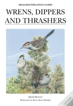 Capa do artigo Wrens, Dippers And Thrashers