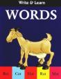 Write & Learn Words - Preview