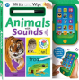 Write & Wipe: Words With Sounds - Preview