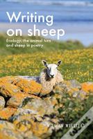Writing On Sheep