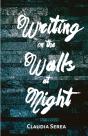 Writing On The Walls At Night - Preview