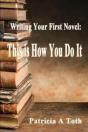 Writing Your First Novel - Preview