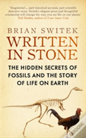Capa do artigo Written In Stone