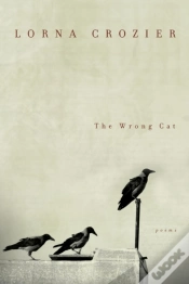 Capa do artigo Wrong Cat