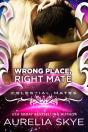 Wrong Place, Right Mate - Preview