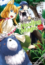 Capa do artigo Wrong Way To Use Healing Magic