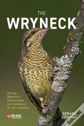 Wryneck