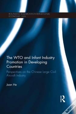 Capa do artigo Wto And Infant Industry Promotion In Developing Countries