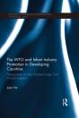 Wto And Infant Industry Promotion In Developing Countries - Preview