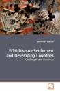 Wto Dispute Settlement And Developing Co - Preview