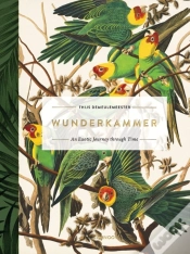 Capa do artigo Wunderkammer
