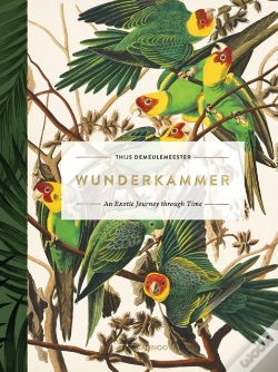 Capa do artigo Wunderkammer