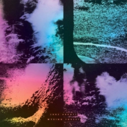 Capa do artigo Wysing Forest - CD