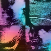 Capa do artigo Wysing Forest - Vinil