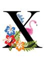 X Aloha - Preview