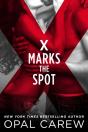 X Marks The Spot - Preview
