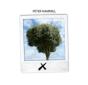 X/Ten - CD - Preview