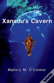 Capa do artigo Xanadu