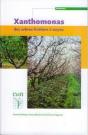 Xanthomonas Des Arbres Fruitiers A Noyau - Preview