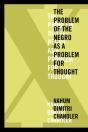 Xâ€”The Problem Of The Negro As A Problem For Thought - Preview
