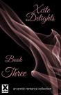 Xcite Delights - Book Three - Preview