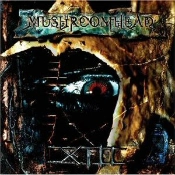 Capa do artigo XIII - CD