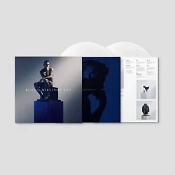 Capa do artigo XXV - Vinil