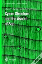 Xylem Structure And The Ascent Of Sap