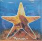 Xylem Tube EP - Vinil - Preview