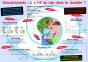 Y A-T-Il Du Rab Dans Le Durable ? - Preview
