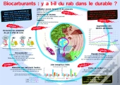 Y A-T-Il Du Rab Dans Le Durable ?
