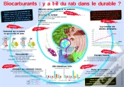 Capa do artigo Y A-T-Il Du Rab Dans Le Durable ?