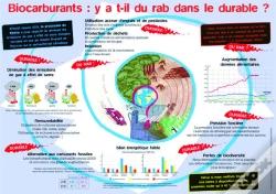 Capa do artigo Y A-T-Il Du Rab Dans Le Durable ?