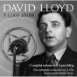 Y Llais Arian - CD - Preview