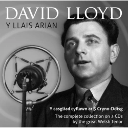 Capa do artigo Y Llais Arian - CD