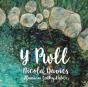 Y Pwll - Preview