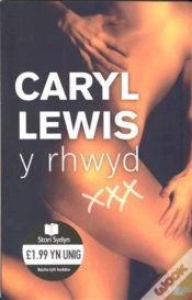 Capa do artigo Y Rhwyd